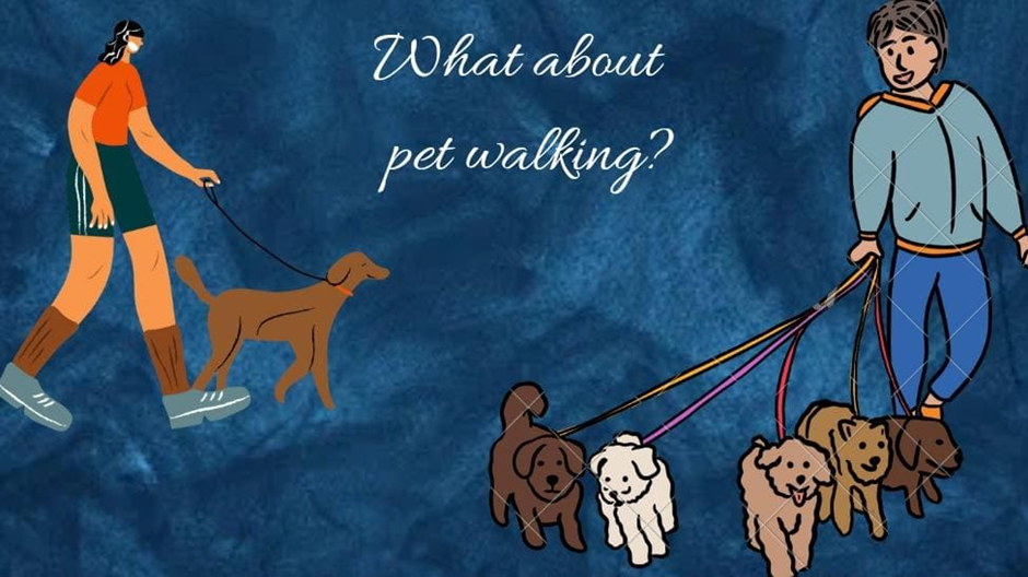 Make Money BY PET WALKING